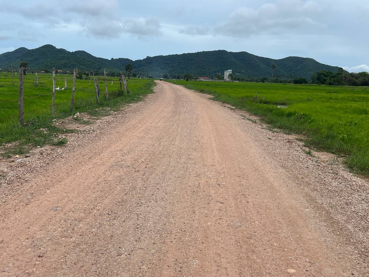 photo 2024 07 13 12 39 49