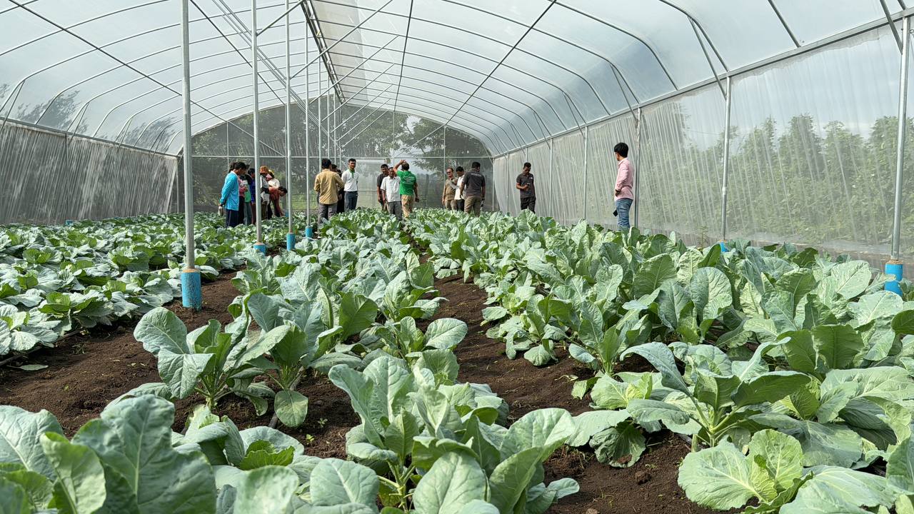 photo 2024 07 17 10 07 44