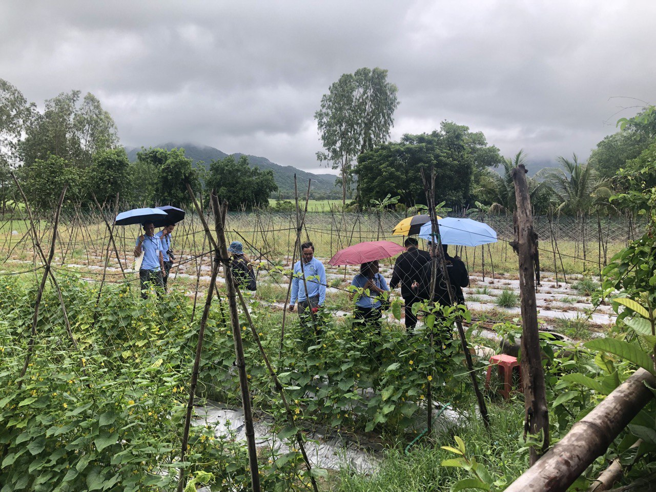 photo 2024 07 17 16 11 08 3