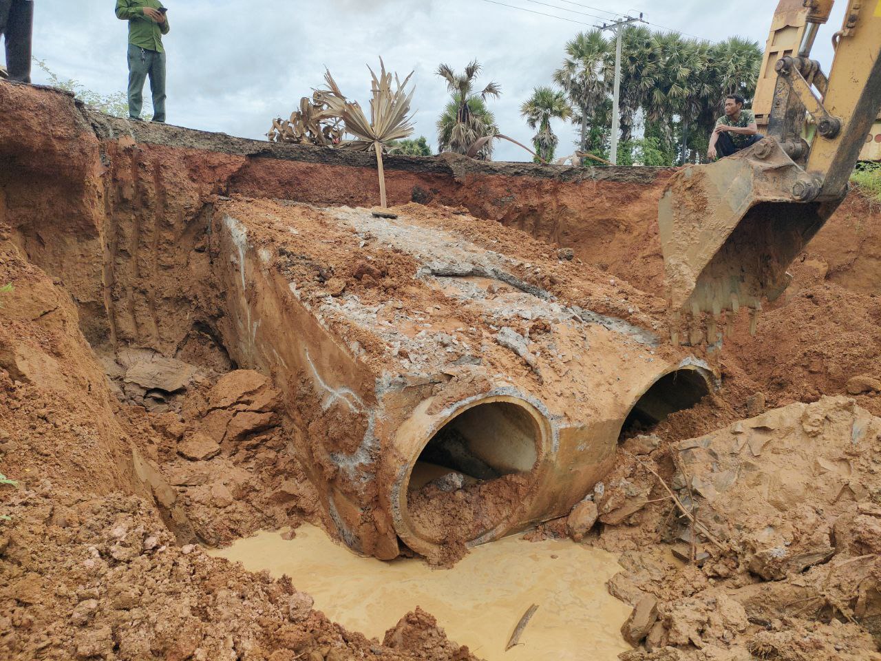 photo 2024 07 19 12 34 00