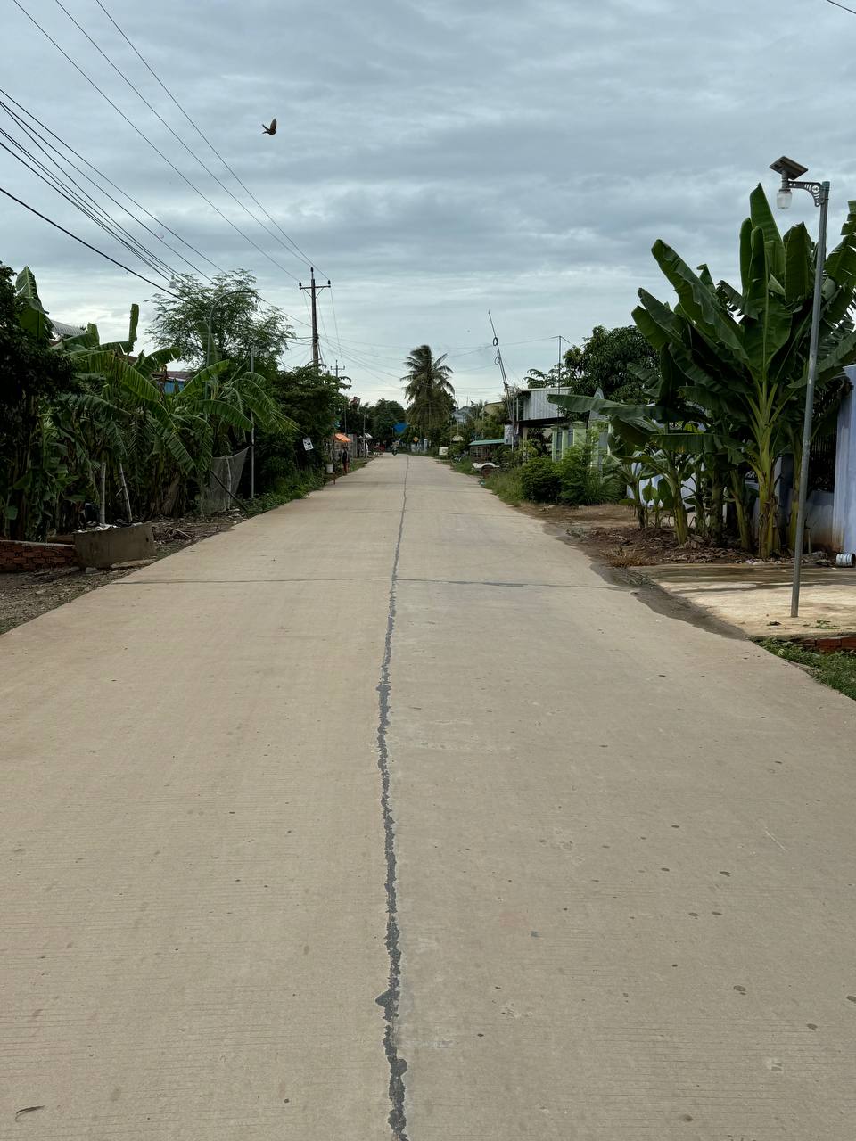 photo 2024 07 21 11 13 11