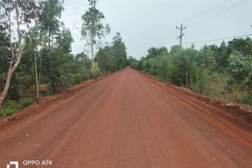 photo 2024 07 22 14 23 19 2