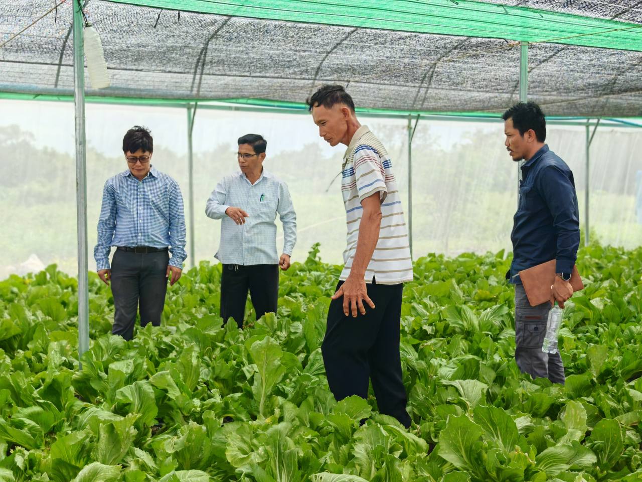 photo 2024 07 24 18 35 58