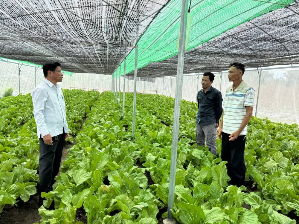 មន្ទីរអភិវឌ្ឍន៍ជនបទខេត្តប៉ៃលិន បានចូលរួមក្នុងកម្មវិធីរៀបចំទិវាចម្ការបង្ហាញលើកទី២ ស្តីពីការអនុវត្តកសិកម្មឆ្លាតវៃលើផលិតកម្មដំណាំបន្លែ 2 photo 2024 07 24 18 35 59