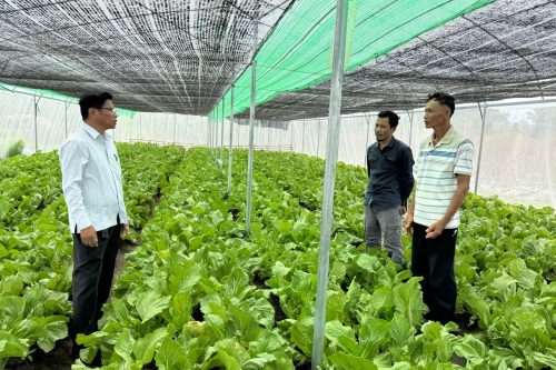 photo 2024 07 24 18 35 59