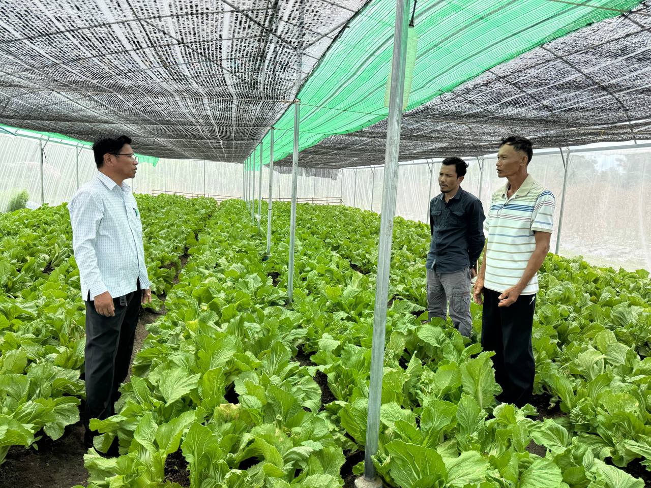 photo 2024 07 24 18 35 59