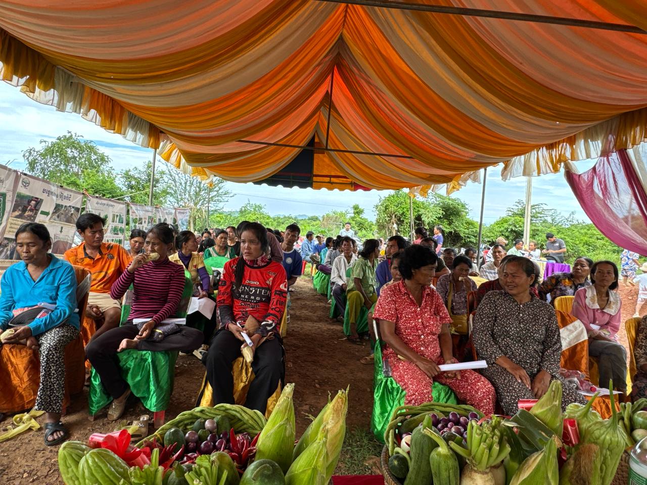 photo 2024 07 25 11 44 53