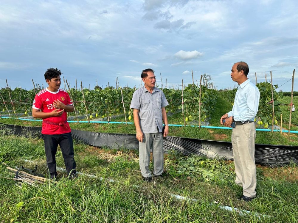 photo 2024 07 26 21 57 29