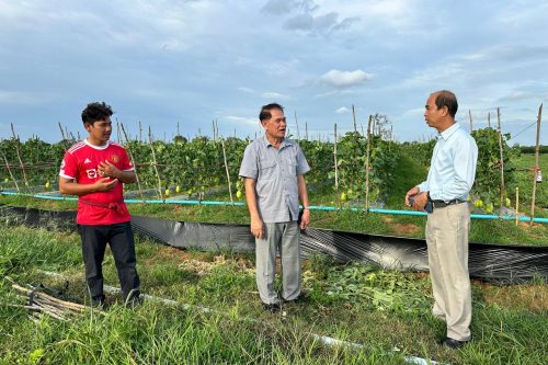 photo 2024 07 26 21 57 29