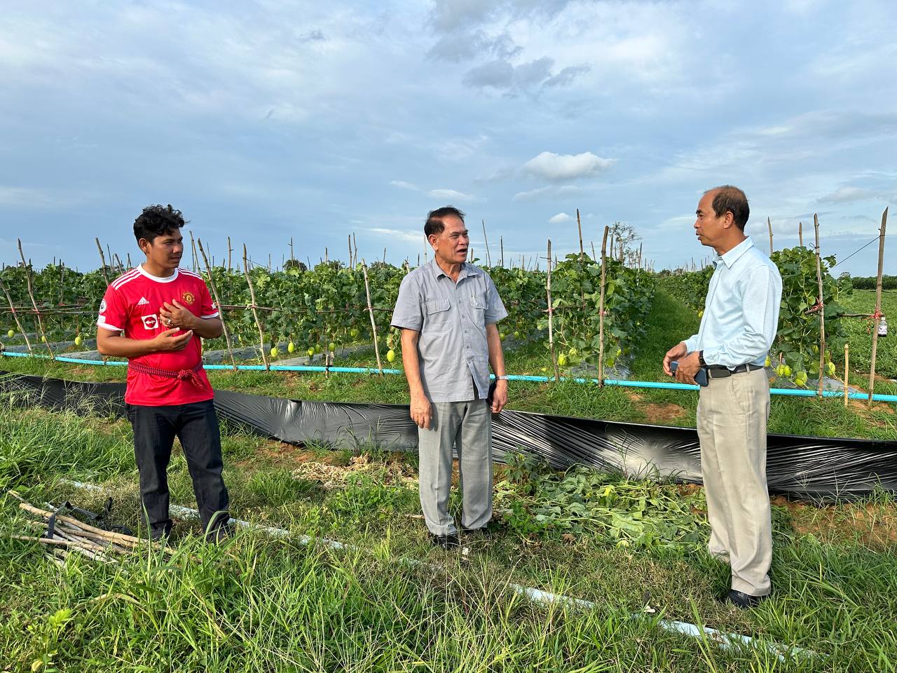 photo 2024 07 26 21 57 29