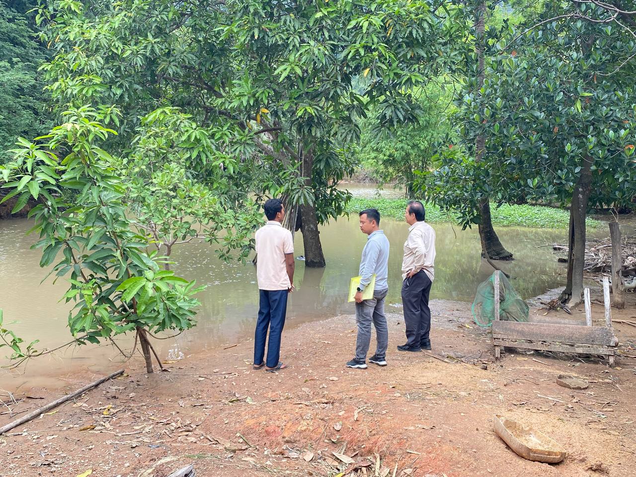 photo 2024 07 26 22 50 09