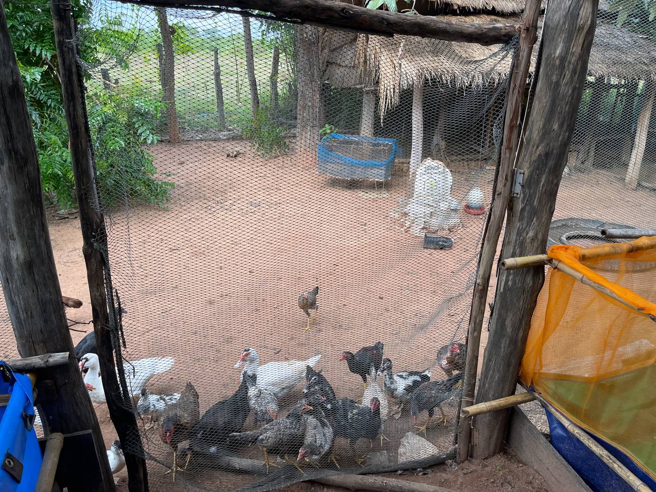 photo 2024 07 26 23 01 30