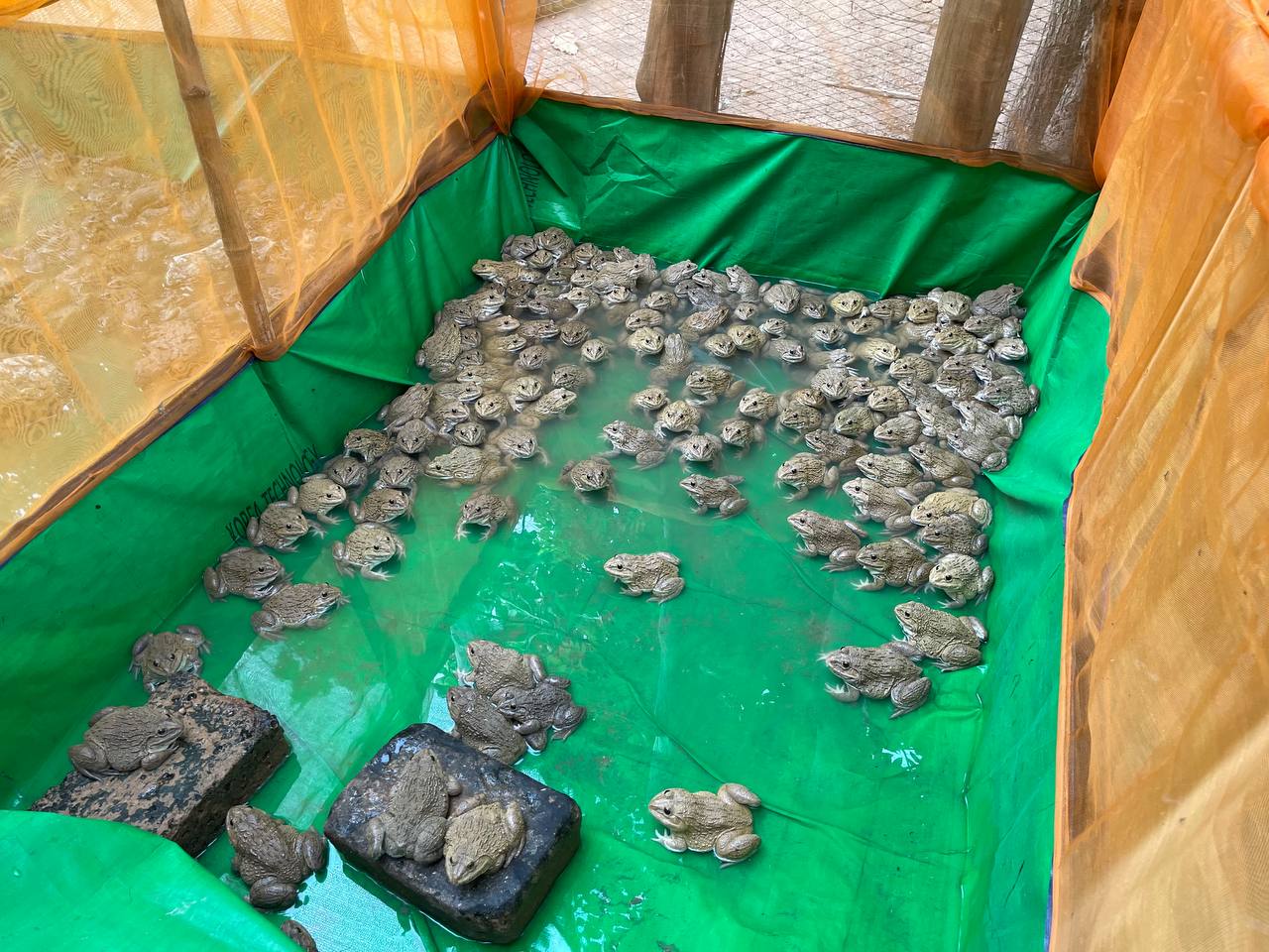 ឯកឧត្តម ជី ស៊ីថា រដ្ឋលេខាធិការ បានដឹកនាំមន្រ្តីនៃនាយកដ្ឋានអភិវឌ្ឍន៍សហគមន៍ ចុះផ្ទៀងផ្ទាត់សក្តានុពល និងតម្រូវការអភិវឌ្ឍន៍ភូមិគំរូ ចំនួន៣ភូមិ 11 photo 2024 07 26 23 01 31