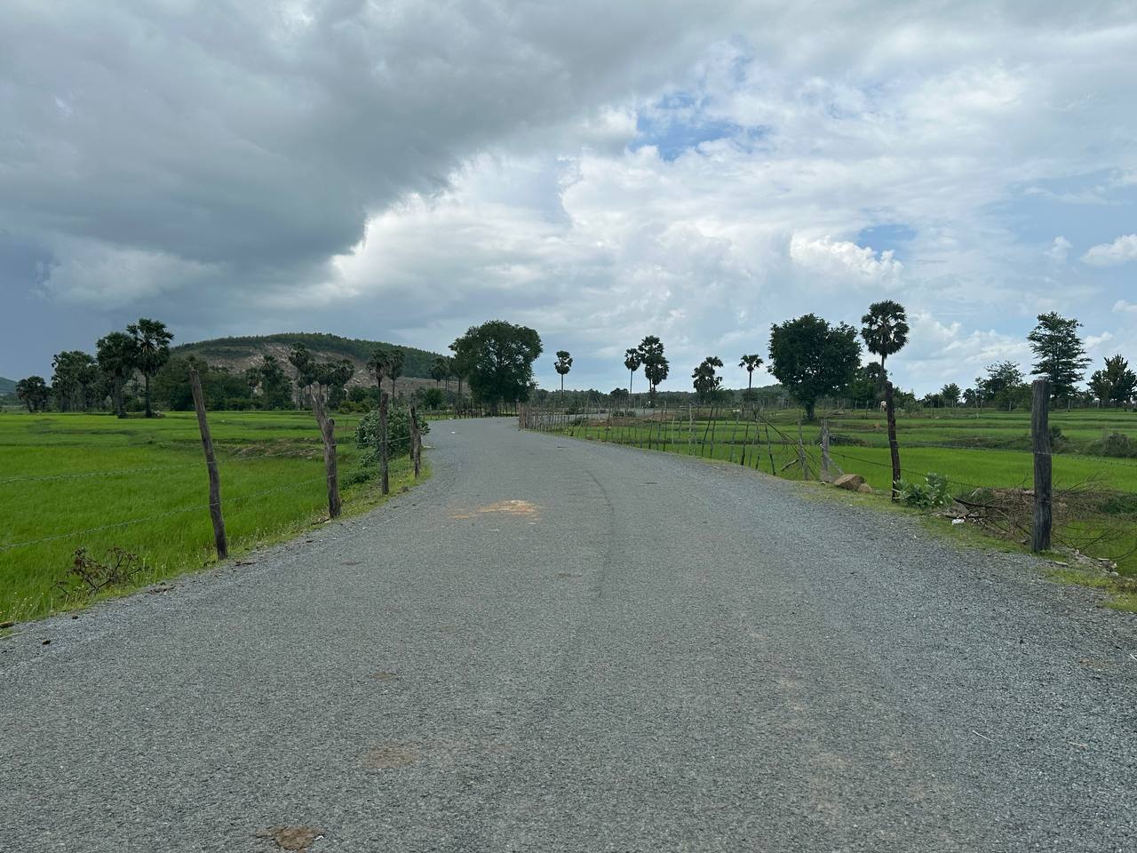 photo 2024 08 02 11 44 33 6