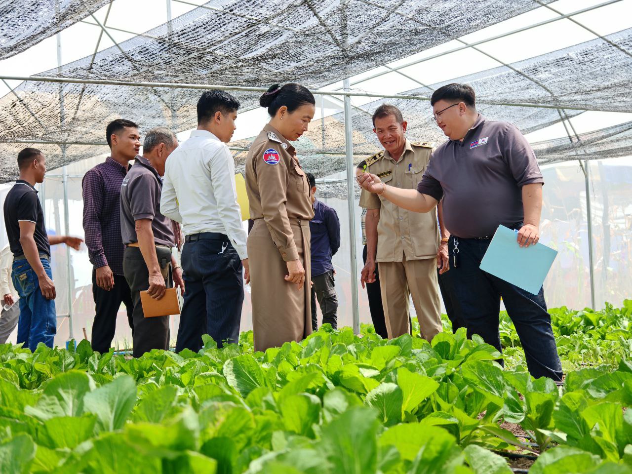 មន្ទីរអភិវឌ្ឍន៍ជនបទខេត្តខេត្តបន្ទាយមានជ័យ បានចូលរួមកម្មវិធីទិវាចម្ការបង្ហាញលើកទី២ ស្តីពីការអនុវត្តកសិកម្មឆ្លាតវៃលើផលិតកម្មដំណាំបន្លែនៅស្រុកស្វាយចេក ខេត្តបន្ទាយមានជ័យ 9 photo 2024 08 09 09 05 03 1