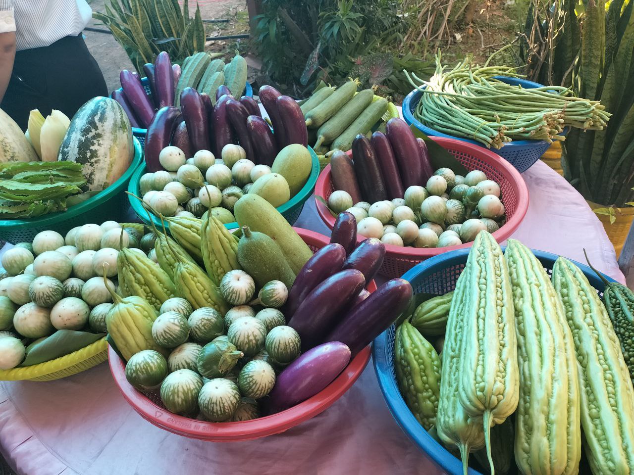 photo 2024 08 09 13 25 58