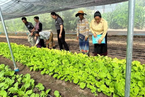 photo 2024 08 13 15 46 12