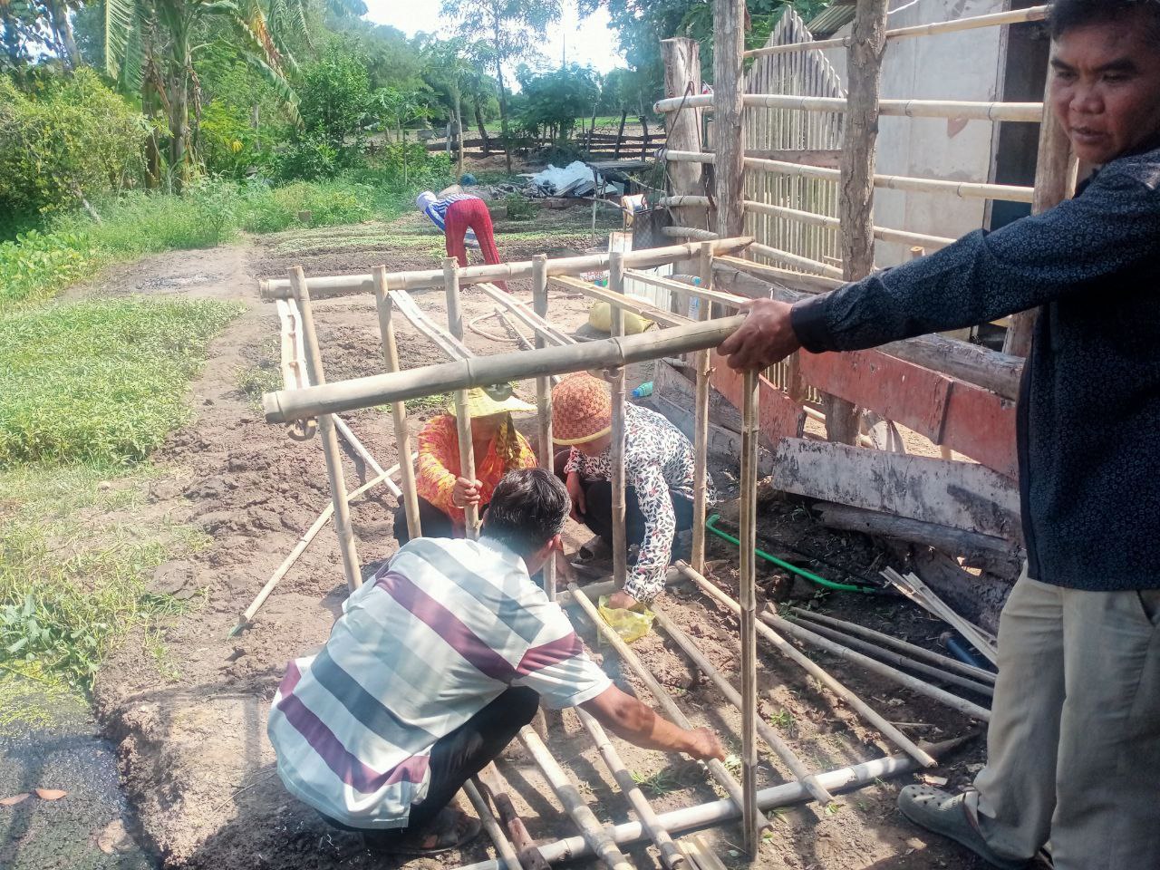 photo 2024 08 15 17 50 45 3