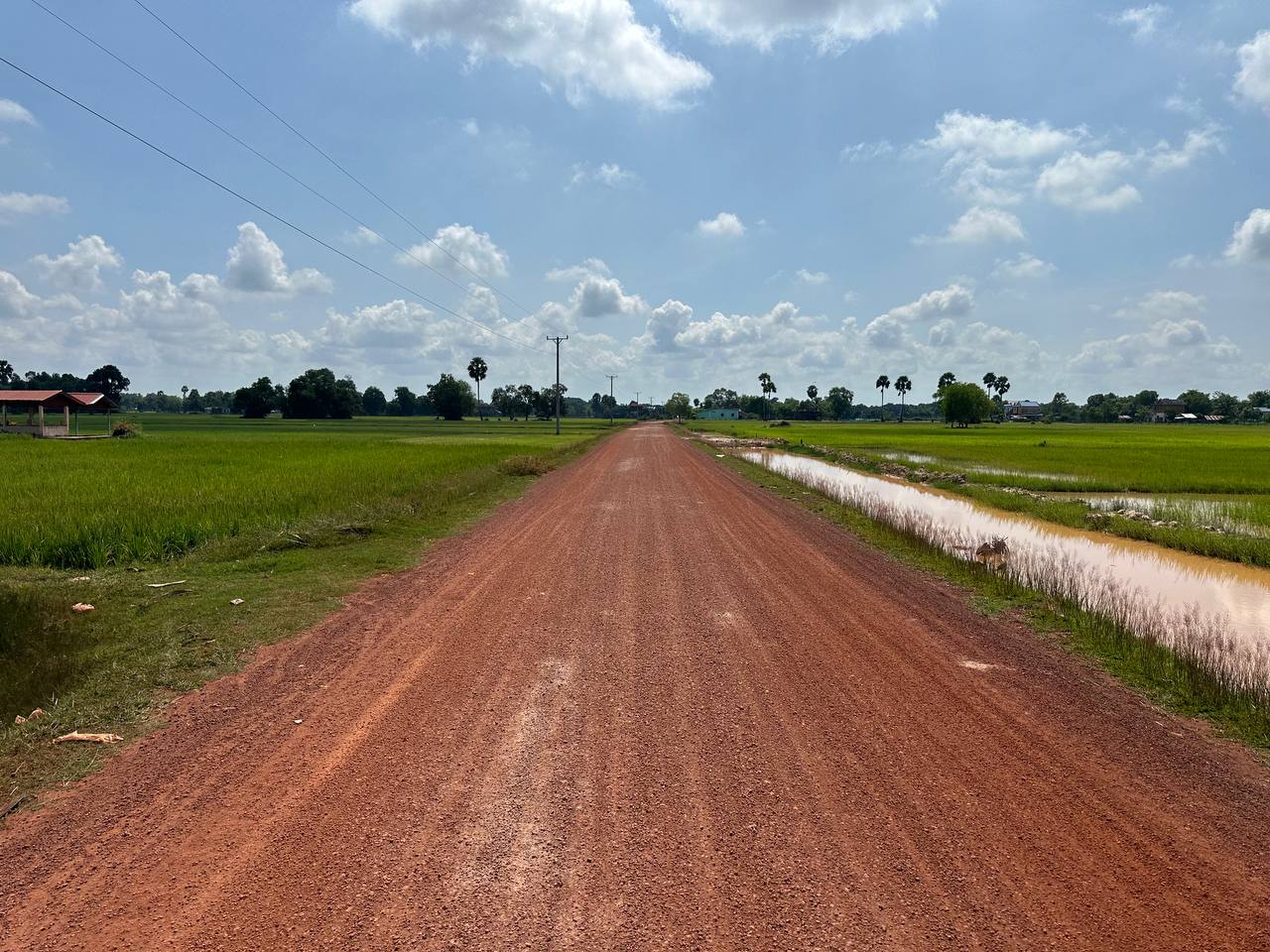 photo 2024 08 22 17 28 10 4