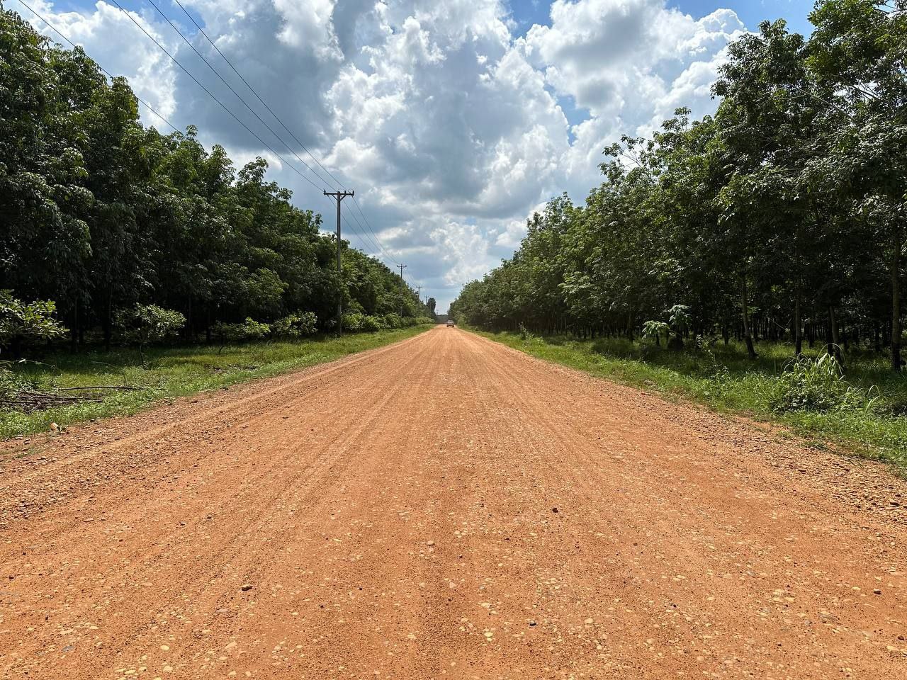 photo 2024 08 27 06 52 32 3