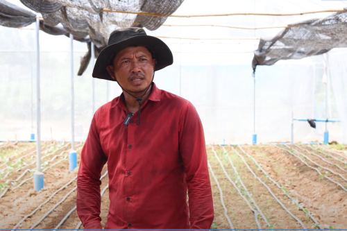 គម្រោងការកសាងភូមិសន្តិភាព