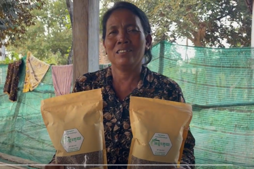 អាជីវកម្មស្រូវកួយ