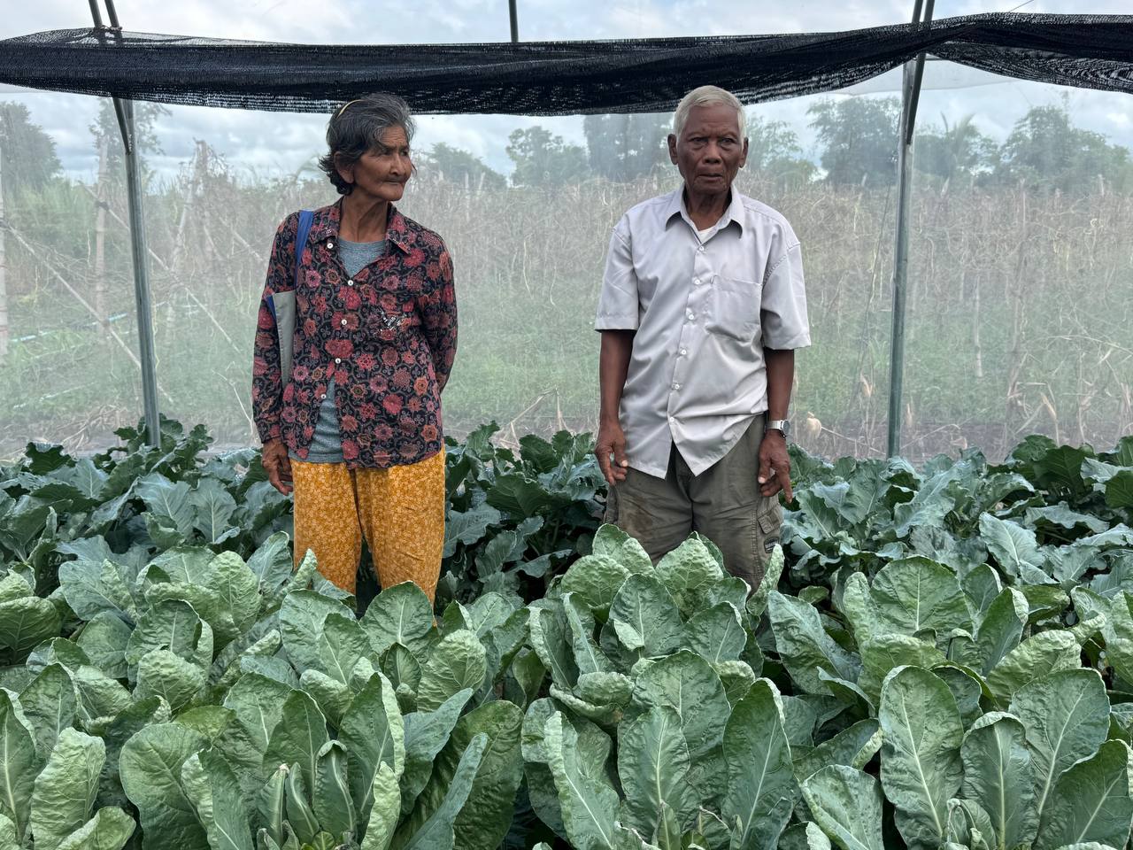 លោក គឺន សុគា អញ្ជើញចូលរួមកម្មវិធីទិវាចម្ការបង្ហាញលើកទី២ ស្តីពីការអនុវត្តកសិកម្មឆ្លាតវៃលើផលិតកម្មដំណាំបន្លែ នៅខេត្តប៉ៃលិន 8 photo 2024 10 11 09 02 17