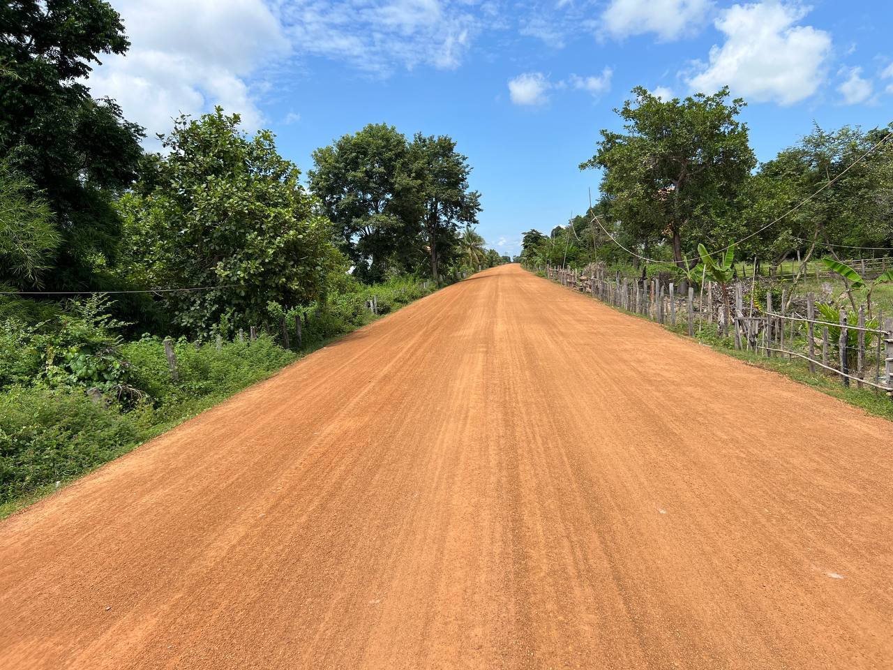 photo 2024 10 14 16 52 00