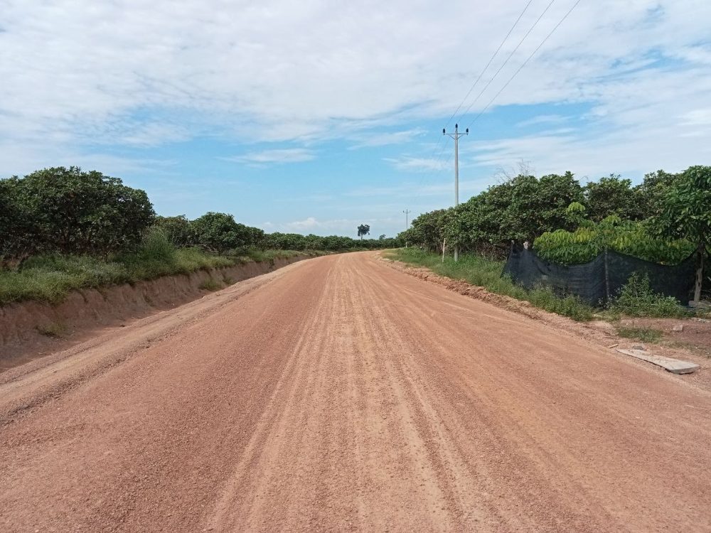 លោក អៀម អឿន ប្រធានមន្ទីរអភិវឌ្ឍន៍ជនបទខេត្តរតនគិរី និងសហការីពិនិត្យការជួសជុលផ្លូវ នៅស្រុកអូរយ៉ាដាវ 2 photo 2024 10 16 18 32 30 4