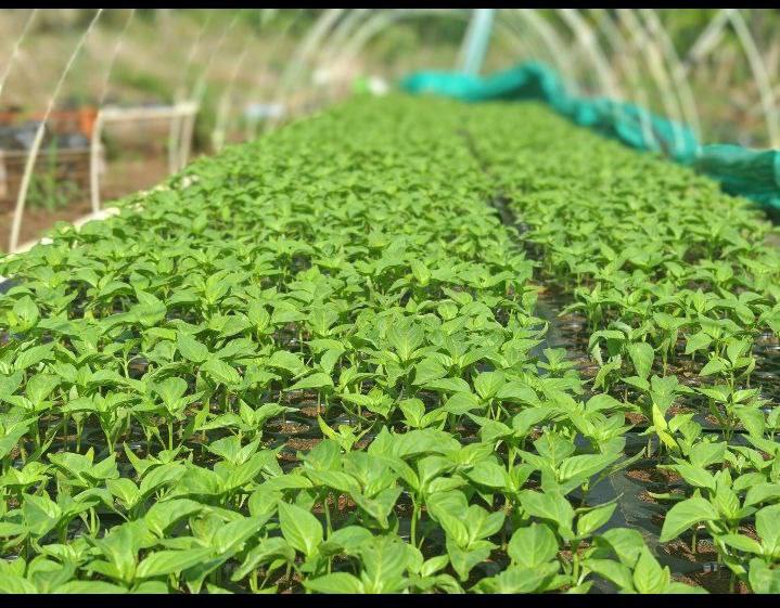 photo 2024 10 19 10 59 44 2