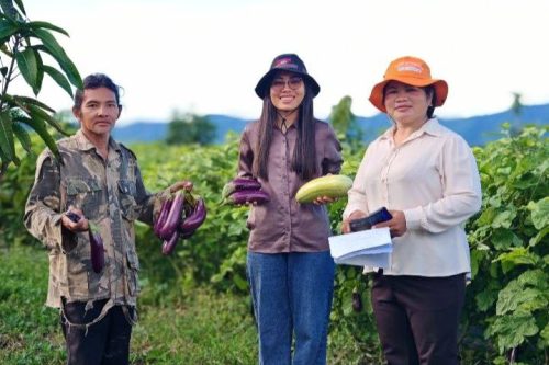 photo 2024 10 19 10 59 45 2