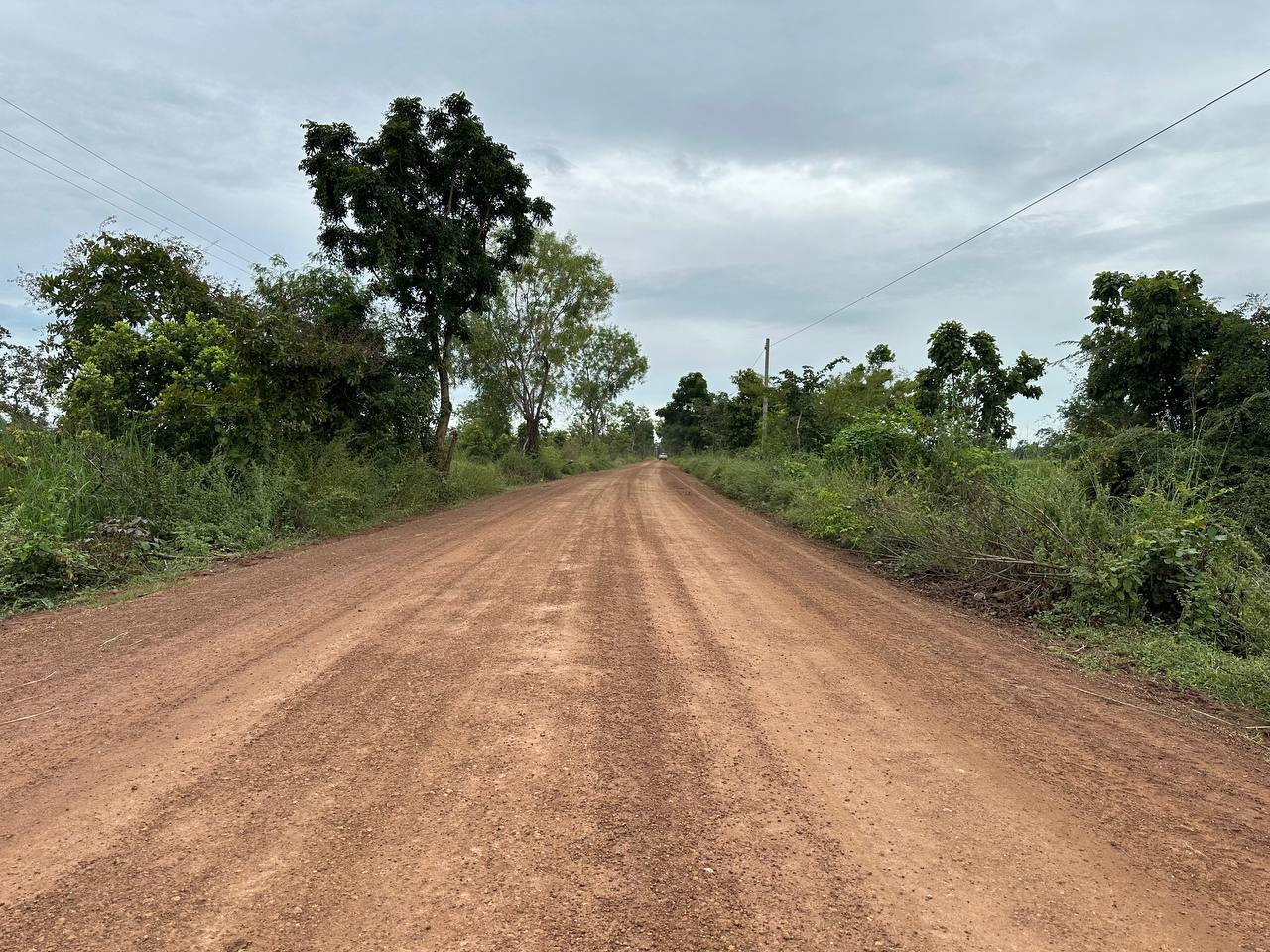 photo 2024 10 29 08 58 56