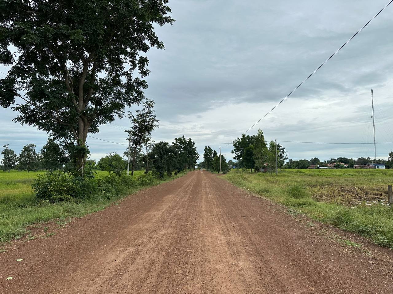 photo 2024 10 29 08 58 58 2