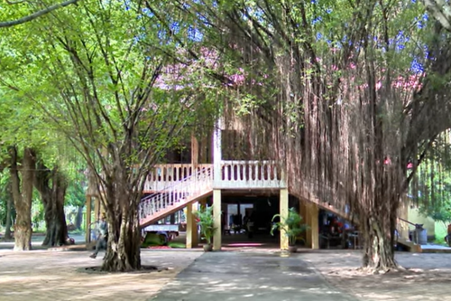 ១វត្តដូនស្តើង