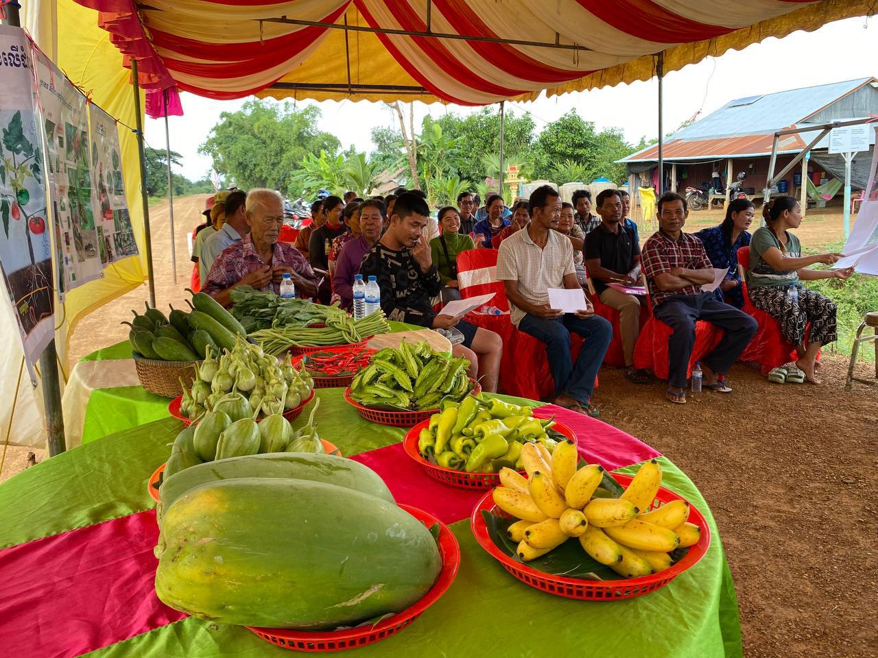 photo 2024 11 07 20 47 10