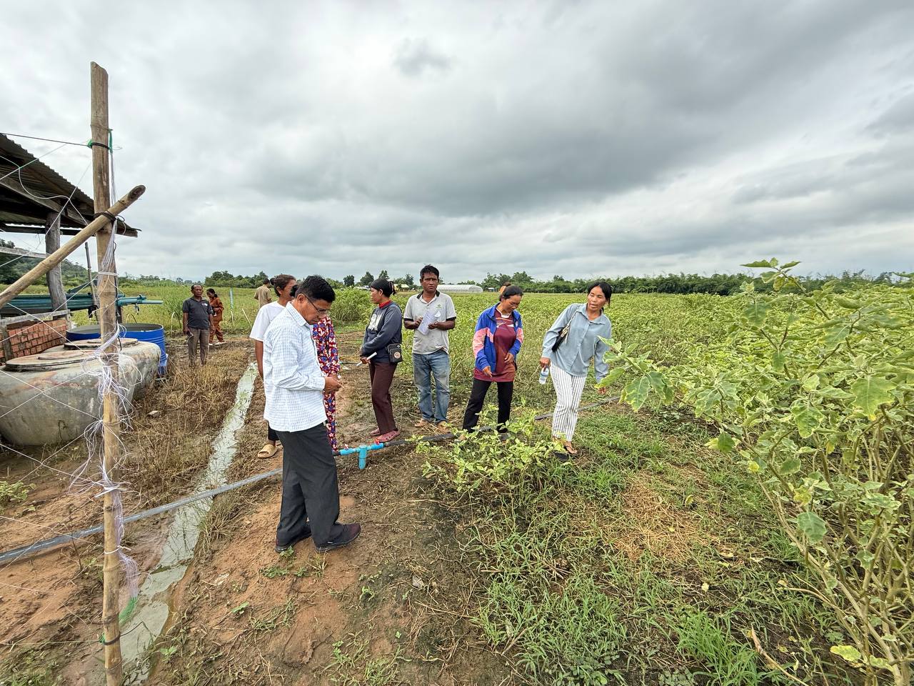 photo 2024 11 07 20 47 11