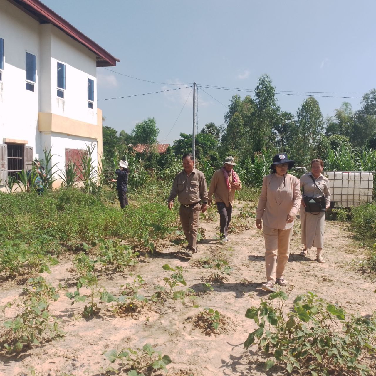 photo 2024 11 11 17 04 17 2