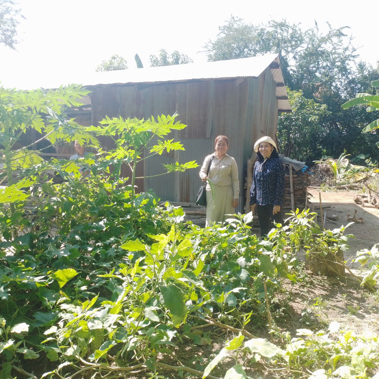 photo 2024 11 11 17 04 18 2