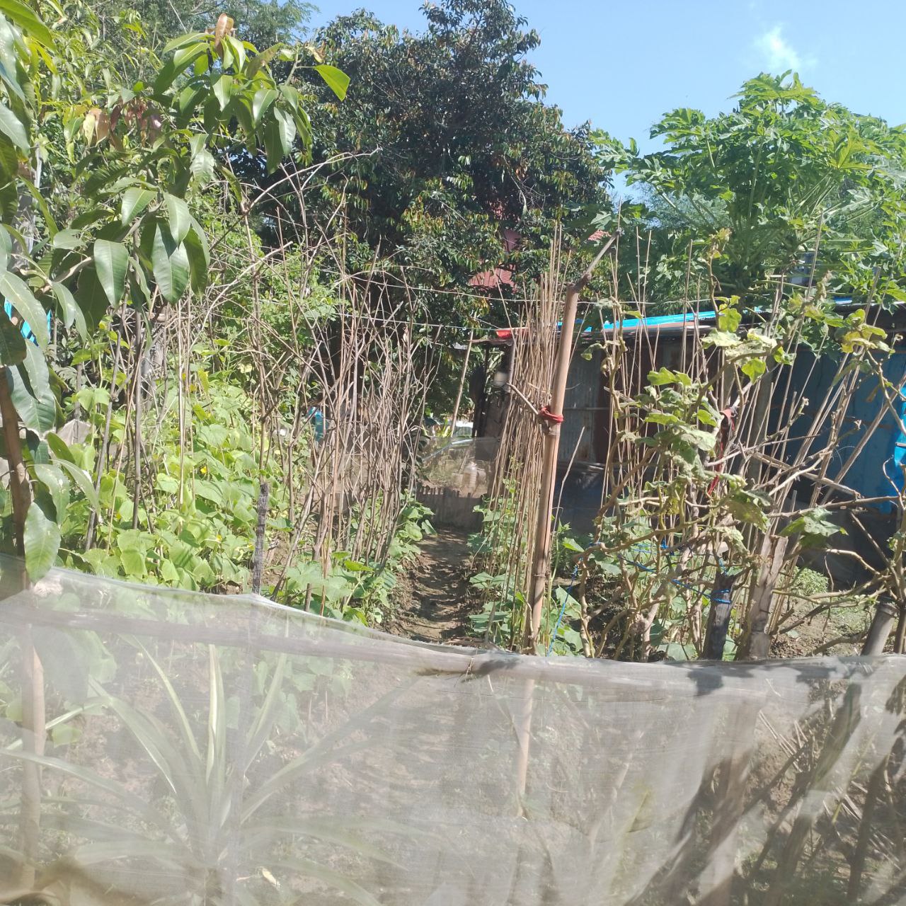 photo 2024 11 11 17 04 18