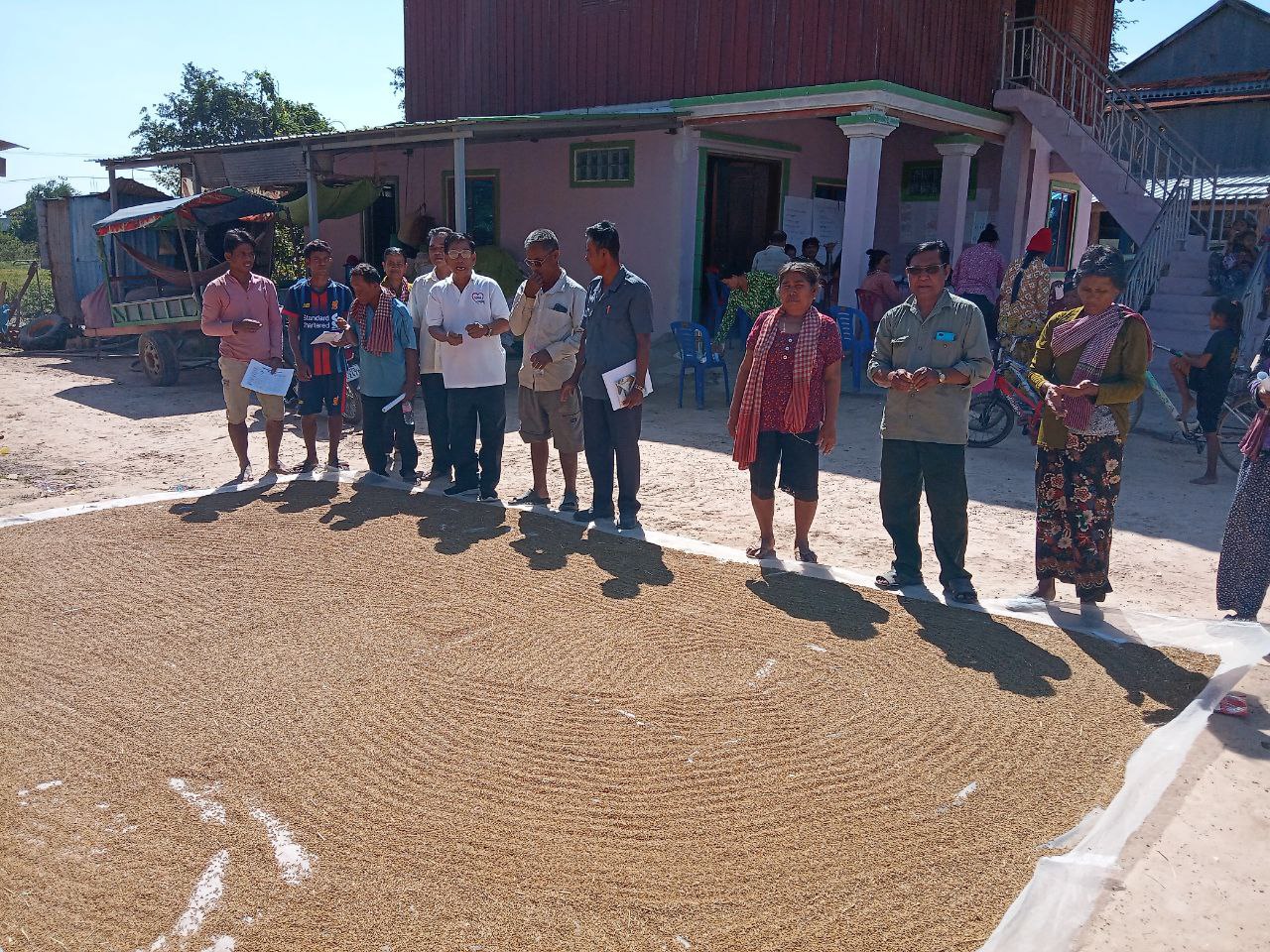 photo 2024 11 11 17 05 11 6