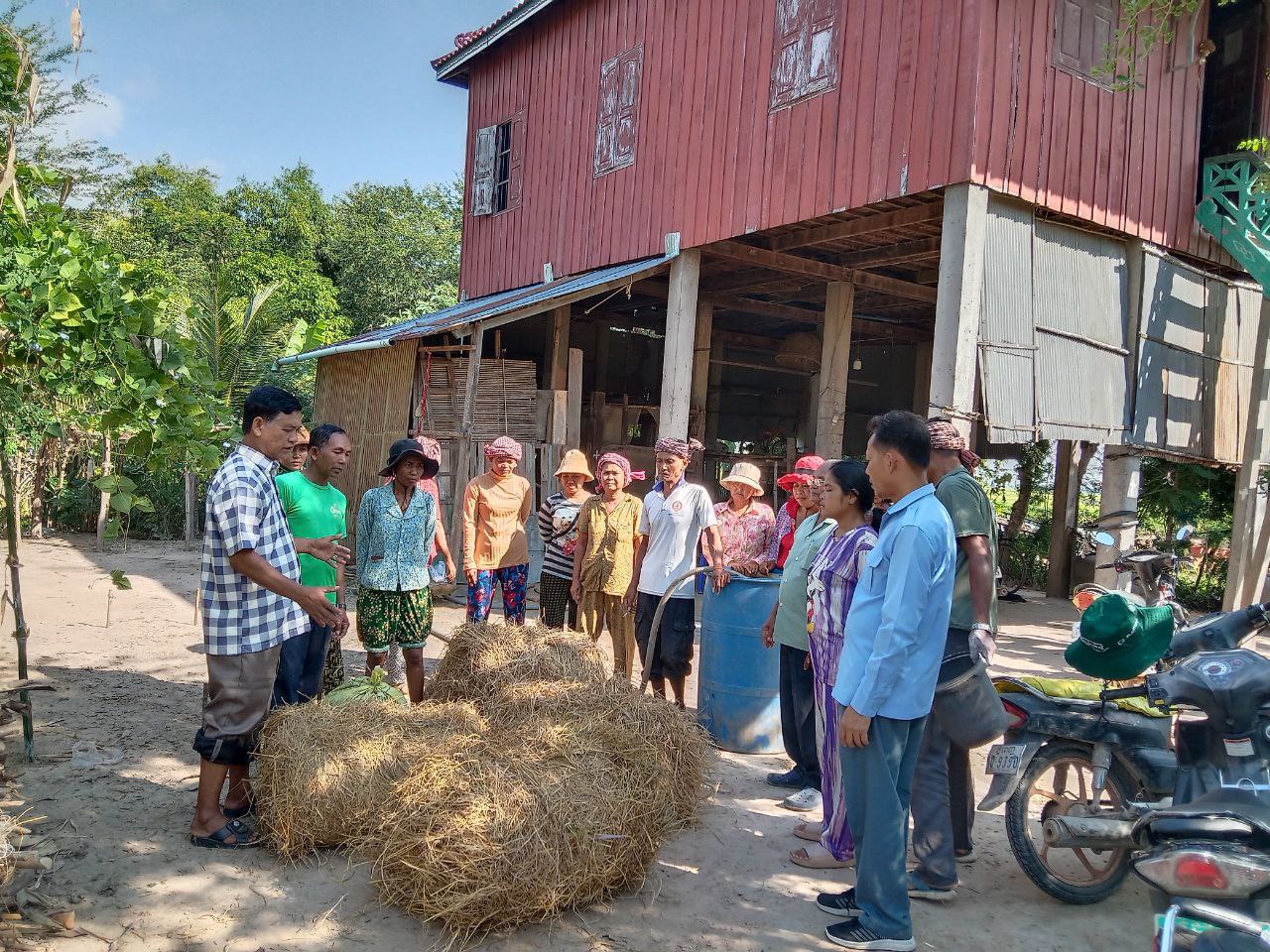 photo 2024 11 11 17 06 00 2