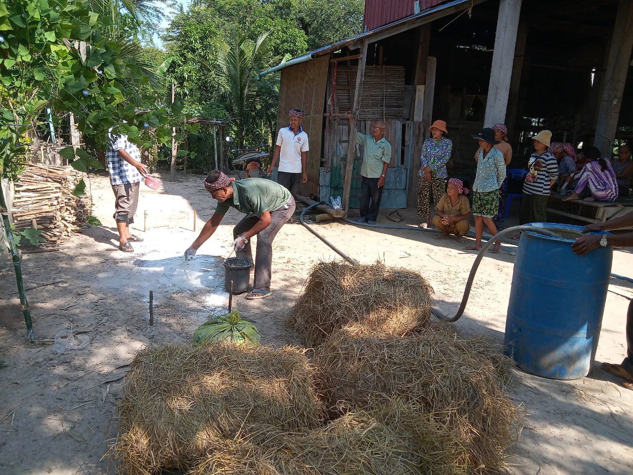 photo 2024 11 11 17 06 00 3