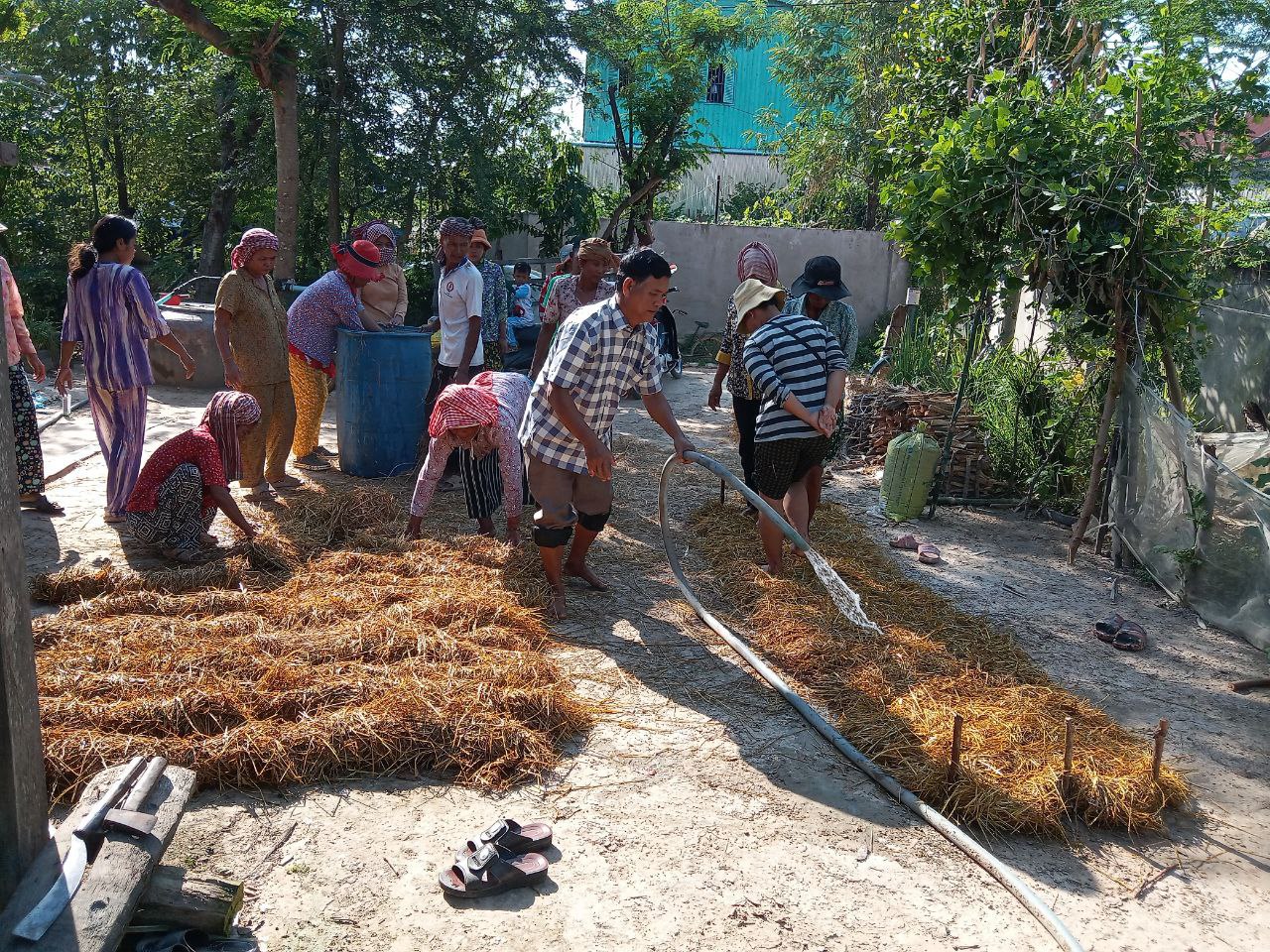 photo 2024 11 11 17 06 01 2