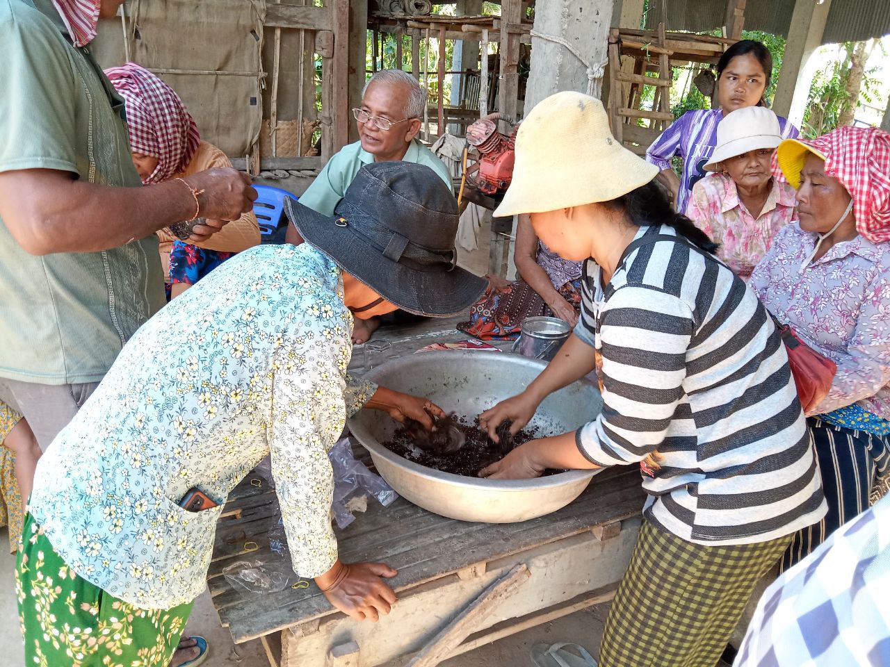 photo 2024 11 11 17 06 01