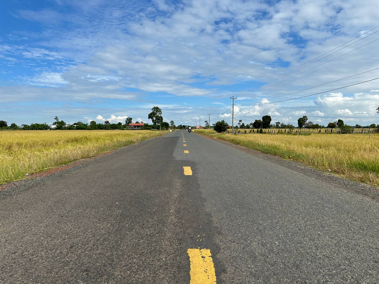 photo 2024 11 14 07 55 05