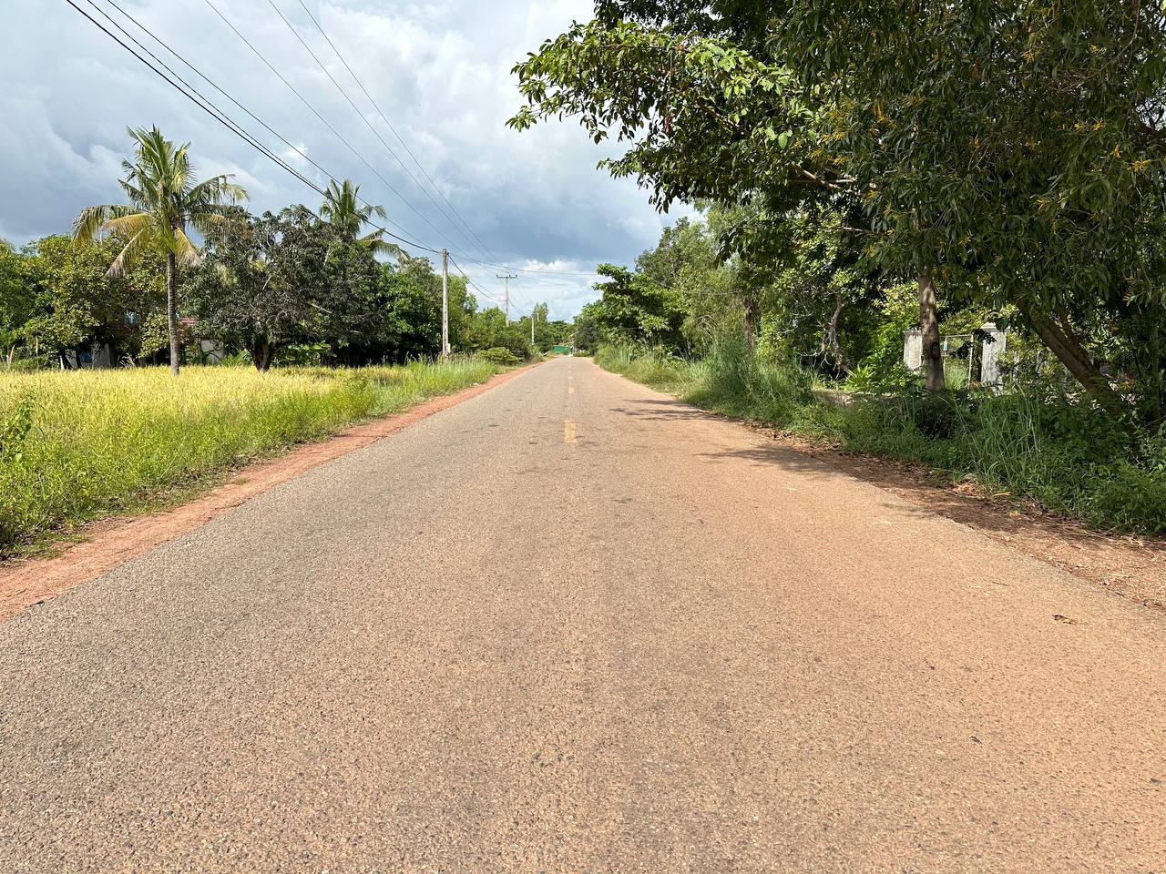 photo 2024 11 14 07 55 14