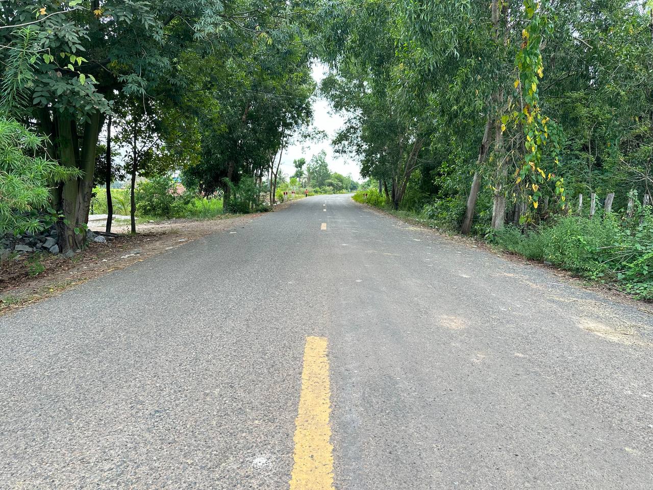 photo 2024 11 14 07 55 22