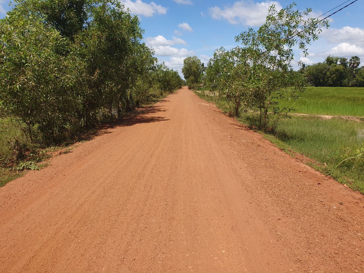 photo 2024 11 20 17 10 59