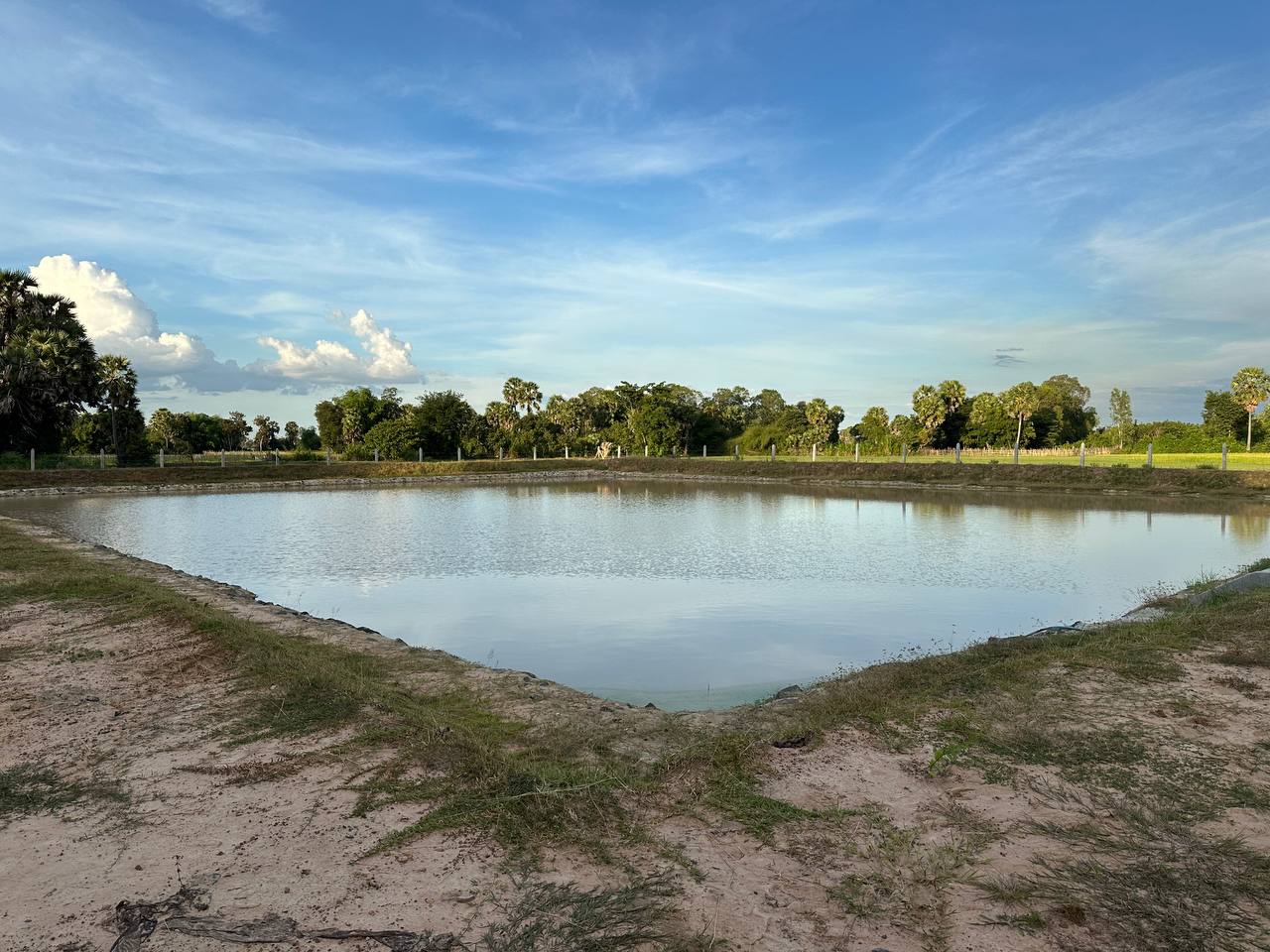 photo 2024 11 20 21 17 07