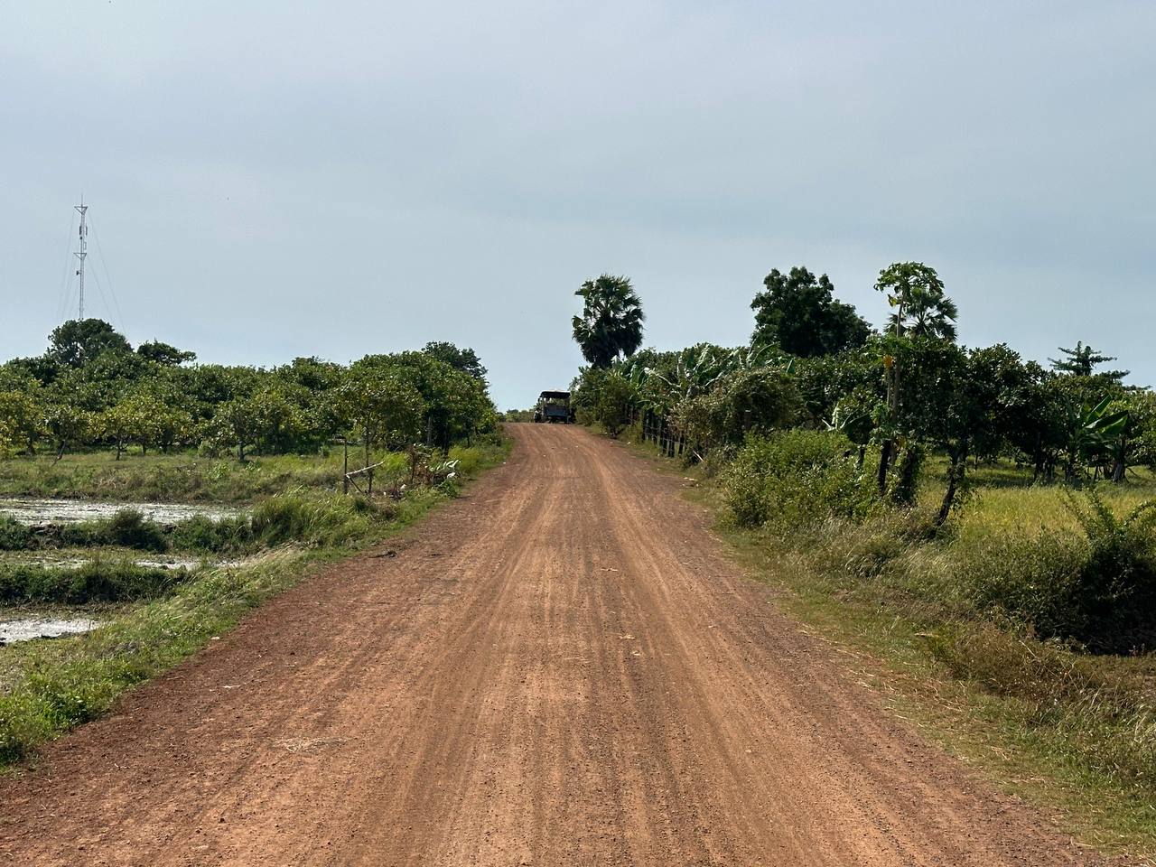photo 2024 11 26 14 37 24